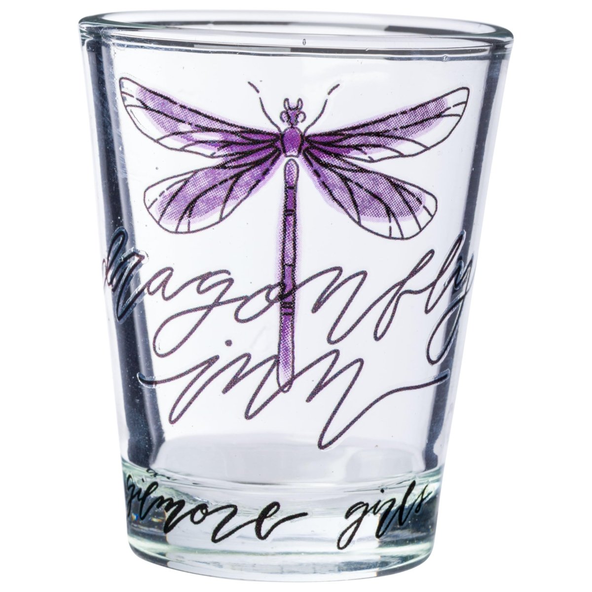 Silver Buffalo Nickelodeon Retro Featuring Rocko, Angelica, Stimpy, and Arnold 4 Pack Mini Glass Set, 1.5 Ounces - Throwback Paradise